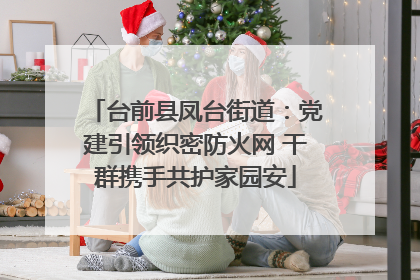 台前县凤台街道：党建引领织密防火网 干群携手共护家园安