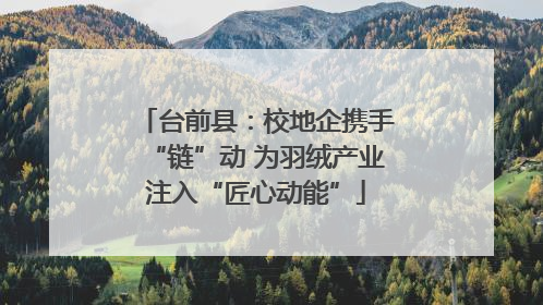 台前县：校地企携手“链”动 为羽绒产业注入“匠心动能”