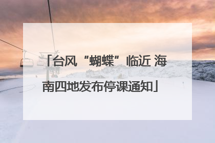 台风“蝴蝶”临近 海南四地发布停课通知