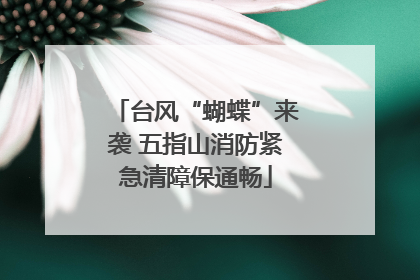 台风“蝴蝶”来袭 五指山消防紧急清障保通畅