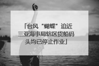 台风“蝴蝶”迫近 三亚海事局辖区货船码头均已停止作业