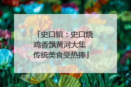 史口镇：史口烧鸡香飘黄河大集 传统美食受热捧