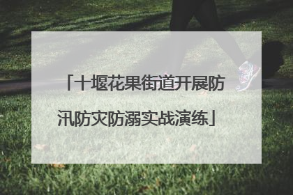 十堰花果街道开展防汛防灾防溺实战演练