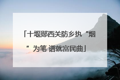 十堰郧西关防乡执“烟”为笔 谱就富民曲