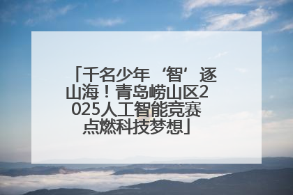 千名少年‘智’逐山海！青岛崂山区2025人工智能竞赛点燃科技梦想