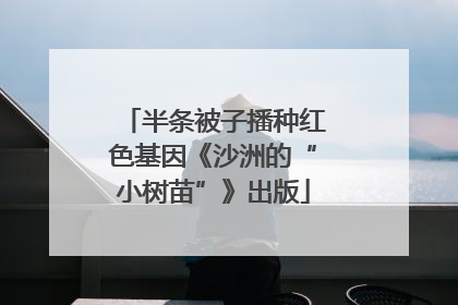 半条被子播种红色基因《沙洲的“小树苗”》出版