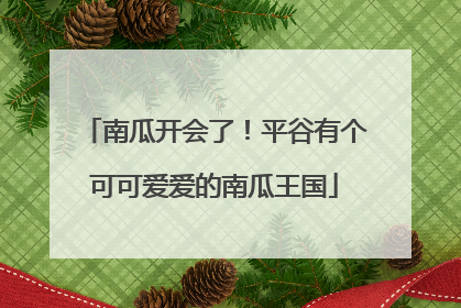 南瓜开会了！平谷有个可可爱爱的南瓜王国