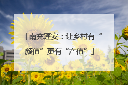南充蓬安：让乡村有“颜值”更有“产值”