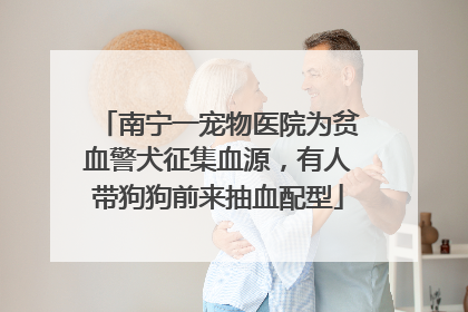 南宁一宠物医院为贫血警犬征集血源，有人带狗狗前来抽血配型