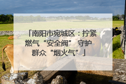 南阳市宛城区：拧紧燃气“安全阀” 守护群众“烟火气”
