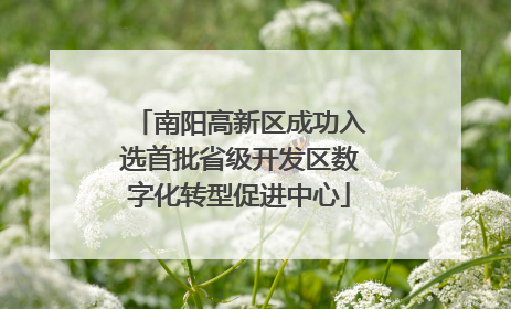 南阳高新区成功入选首批省级开发区数字化转型促进中心