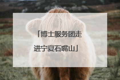 博士服务团走进宁夏石嘴山