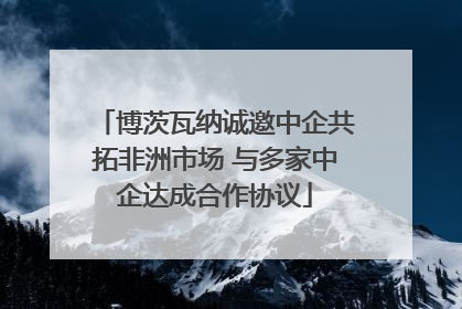 博茨瓦纳诚邀中企共拓非洲市场 与多家中企达成合作协议