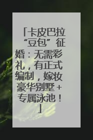 卡皮巴拉“豆包”征婚：无需彩礼，有正式编制，嫁妆豪华别墅＋专属泳池！