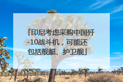 印尼考虑采购中国歼-10战斗机，可能还包括舰艇、护卫舰