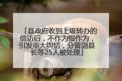 县政府收到上级转办的信访后，不作为慢作为，引发重大舆情，分管副县长等25人被处理