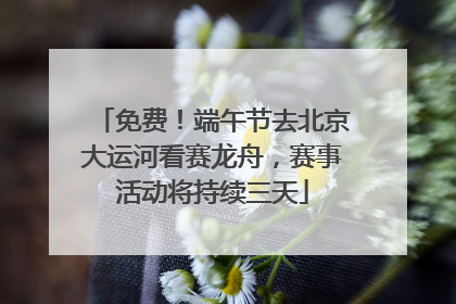 免费！端午节去北京大运河看赛龙舟，赛事活动将持续三天