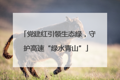 党建红引领生态绿，守护高速“绿水青山”