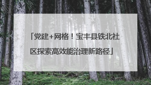 党建+网格！宝丰县铁北社区探索高效能治理新路径
