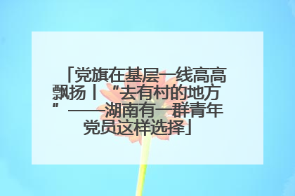 党旗在基层一线高高飘扬丨“去有村的地方”——湖南有一群青年党员这样选择