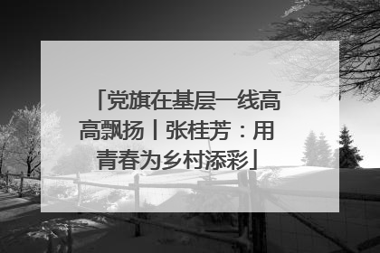 党旗在基层一线高高飘扬丨张桂芳：用青春为乡村添彩