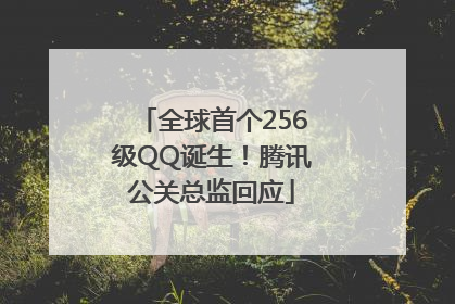 全球首个256级QQ诞生！腾讯公关总监回应