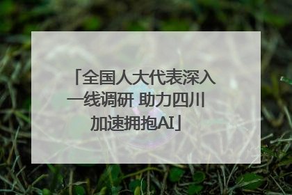 全国人大代表深入一线调研 助力四川加速拥抱AI