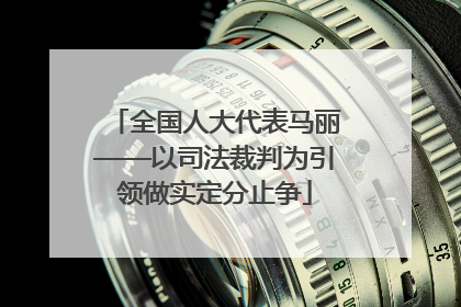 全国人大代表马丽——以司法裁判为引领做实定分止争
