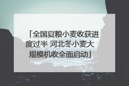 全国夏粮小麦收获进度过半 河北冬小麦大规模机收全面启动