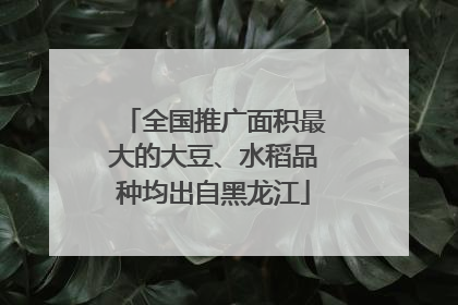 全国推广面积最大的大豆、水稻品种均出自黑龙江