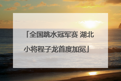 全国跳水冠军赛 湖北小将程子龙首度加冕