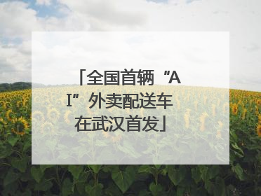 全国首辆“AI”外卖配送车在武汉首发