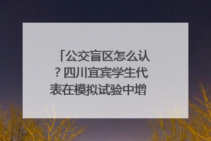 公交盲区怎么认？四川宜宾学生代表在模拟试验中增强乘车安全意识