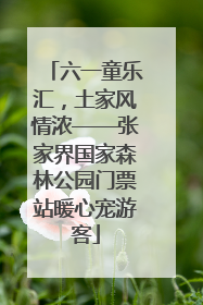 六一童乐汇，土家风情浓——张家界国家森林公园门票站暖心宠游客