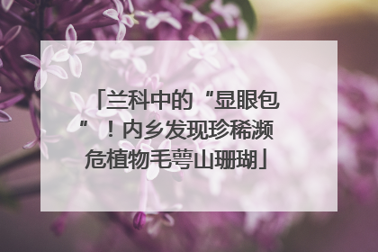 兰科中的“显眼包”！内乡发现珍稀濒危植物毛萼山珊瑚