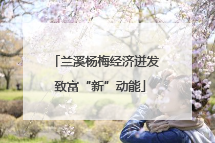 兰溪杨梅经济迸发致富“新”动能