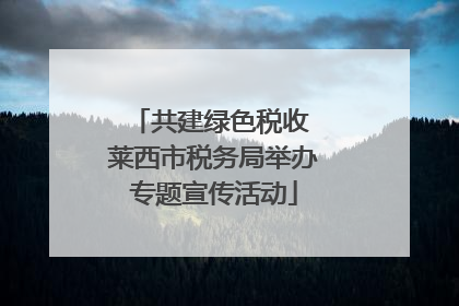 共建绿色税收 莱西市税务局举办专题宣传活动