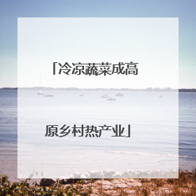 冷凉蔬菜成高原乡村热产业