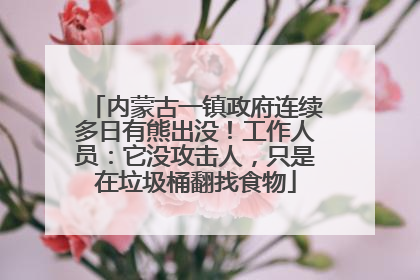 内蒙古一镇政府连续多日有熊出没！工作人员：它没攻击人，只是在垃圾桶翻找食物