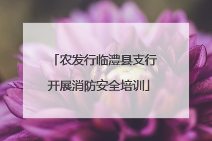 农发行临澧县支行开展消防安全培训