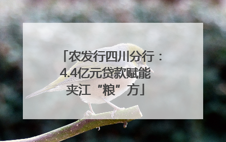 农发行四川分行：4.4亿元贷款赋能夹江“粮”方