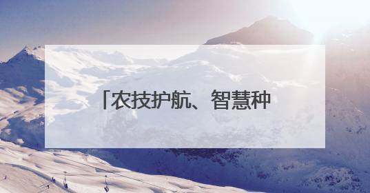 农技护航、智慧种田 三夏时节各地都在抢农时 忙耕种