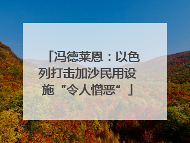 冯德莱恩：以色列打击加沙民用设施“令人憎恶”