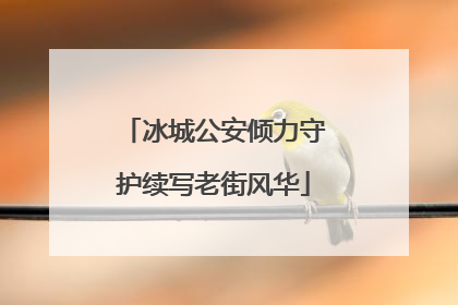 冰城公安倾力守护续写老街风华