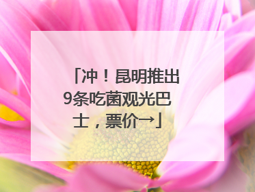冲！昆明推出9条吃菌观光巴士，票价→