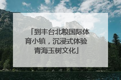 到丰台北粮国际体育小镇，沉浸式体验青海玉树文化