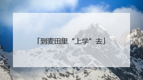 到麦田里“上学”去