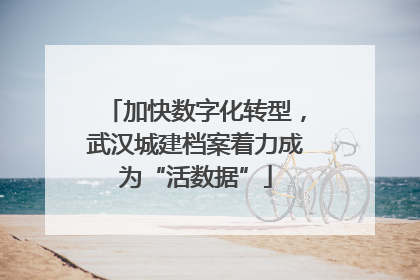 加快数字化转型，武汉城建档案着力成为“活数据”