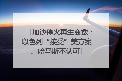加沙停火再生变数：以色列“接受”美方案、哈马斯不认可