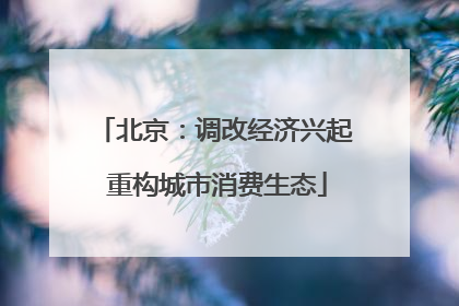 北京：调改经济兴起 重构城市消费生态